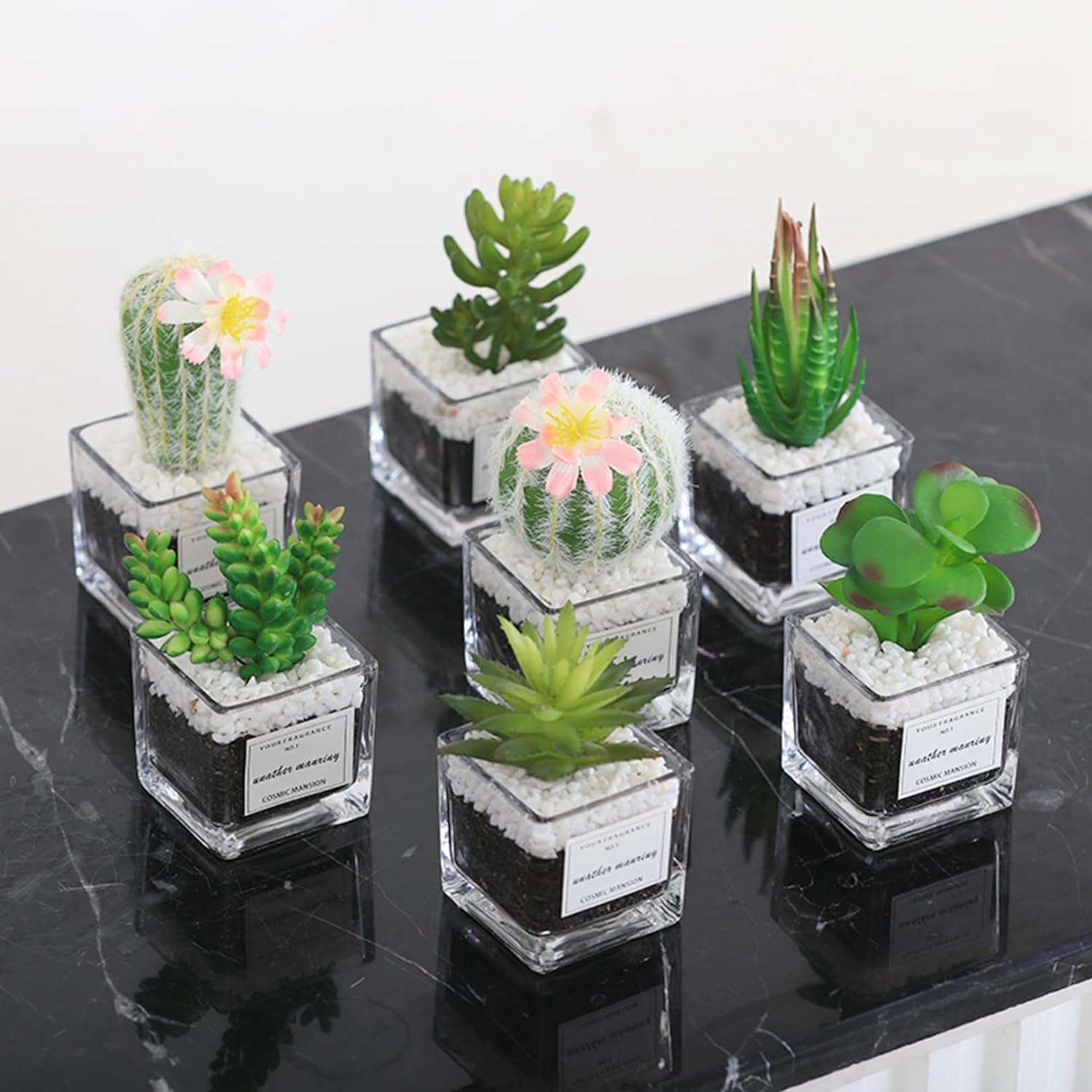 فاز زجاج CACTUS